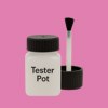 NCS S 1050-R30B Paint Tester Pot