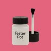 NCS S 1060-R10B Paint Tester Pot
