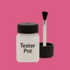 NCS S 1060-R20B Paint Tester Pot