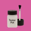 NCS S 1060-R30B Paint Tester Pot