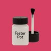 NCS S 1070-R10B Paint Tester Pot