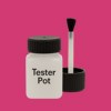 NCS S 1070-R20B Paint Tester Pot