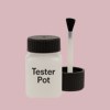 NCS S 1515-R10B Paint Tester Pot