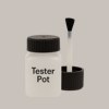 NCS S 2002-Y50R Paint Tester Pot
