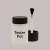 NCS S 2005-R10B Paint Tester Pot