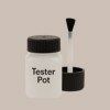 NCS S 2005-Y60R Paint Tester Pot