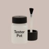 NCS S 2005-Y70R Paint Tester Pot