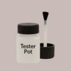 NCS S 2005-Y80R Paint Tester Pot