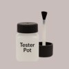 NCS S 2005-Y90R Paint Tester Pot