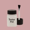 NCS S 2020-R Paint Tester Pot