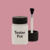 NCS S 2030-R10B Paint Tester Pot