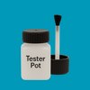 NCS S 2050-B10G Paint Tester Pot