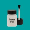 NCS S 2050-B50G Paint Tester Pot