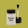 NCS S 2050-G80Y Paint Tester Pot