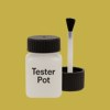 NCS S 2050-G90Y Paint Tester Pot