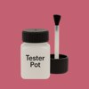 NCS S 2050-R10B Paint Tester Pot