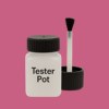 NCS S 2050-R20B Paint Tester Pot