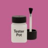NCS S 2050-R30B Paint Tester Pot
