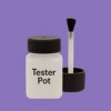NCS S 2050-R60B Paint Tester Pot