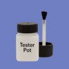 NCS S 2050-R70B Paint Tester Pot