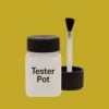 NCS S 2060-G90Y Paint Tester Pot