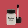 NCS S 2060-R Paint Tester Pot