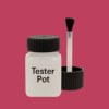 NCS S 2060-R10B Paint Tester Pot