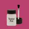 NCS S 2060-R20B Paint Tester Pot