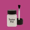 NCS S 2060-R30B Paint Tester Pot