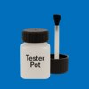NCS S 2065-R90B Paint Tester Pot