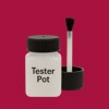 NCS S 2070-R10B Paint Tester Pot