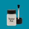 NCS S 2555-B20G Paint Tester Pot