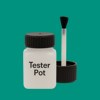 NCS S 2555-B80G Paint Tester Pot