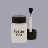 NCS S 3010-R60B Paint Tester Pot