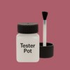 NCS S 3040-R10B Paint Tester Pot