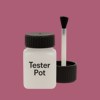 NCS S 3040-R20B Paint Tester Pot