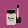 NCS S 3050-R30B Paint Tester Pot