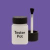 NCS S 3050-R60B Paint Tester Pot