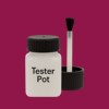 NCS S 3060-R20B Paint Tester Pot