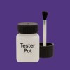 NCS S 3555-R60B Paint Tester Pot