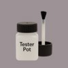 NCS S 4005-R20B Paint Tester Pot