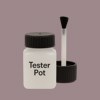 NCS S 4010-R10B Paint Tester Pot