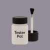 NCS S 4010-R50B Paint Tester Pot