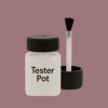 NCS S 4020-R10B Paint Tester Pot