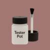 NCS S 4020-Y90R Paint Tester Pot
