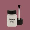 NCS S 4030-R10B Paint Tester Pot