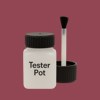 NCS S 4040-R10B Paint Tester Pot