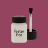 NCS S 4040-R20B Paint Tester Pot