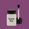 NCS S 4040-R40B Paint Tester Pot