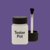 NCS S 4040-R60B Paint Tester Pot
